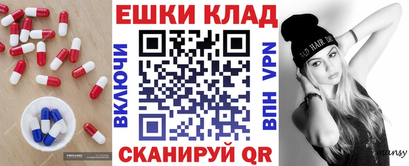 omg вход  где купить наркотик  Электросталь  Ecstasy DUBAI 