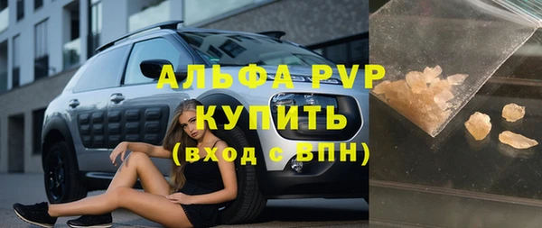 крисы Баксан