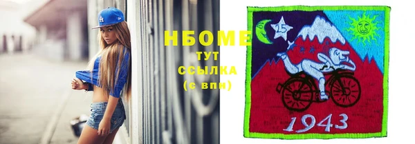 крисы Баксан