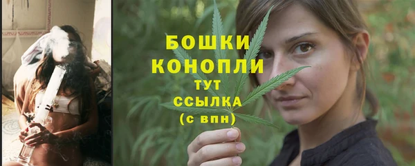 крисы Баксан