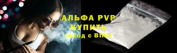 PSILOCYBIN Балабаново