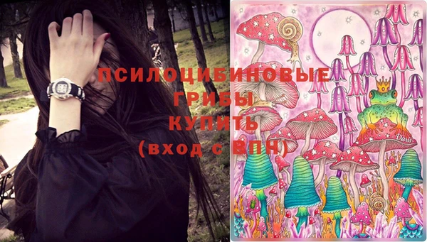 PSILOCYBIN Балабаново