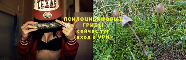 крисы Баксан